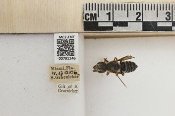 Media type: image;   Entomology 791146 Aspect: Labels
